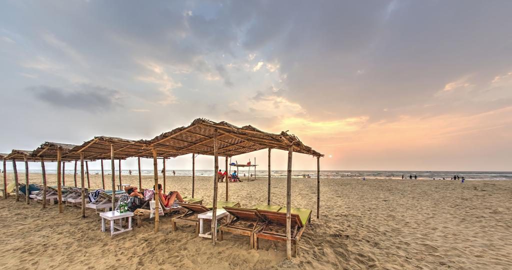 Jivamukti (Vinyasa) & Yin Yoga Retreat Goa, India